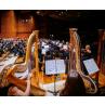 Jahresschlusskonzert der SKS - Beethovens 9. Sinfonie - verlegt vom 30.12.20 - ABGESAGT